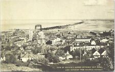Lithograph Duluth Michigan Birdseye Town View early 1900s picture