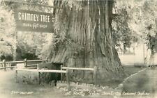 1940a California Redwood Highway Chimney Tree RPPC Photo Postcard 22-11765 picture