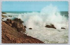 Postcard Rugged Coastline of New Brunswick Canada picture