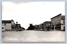 DS3/ Newberry Michigan RPPC Postcard c1940s Avenue Stores South  103 picture
