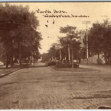 c1910s Waterloo, IA Park Ave. Residential Brick Street Photo Litho Postcard A63 picture