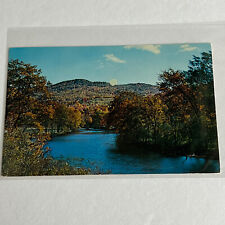 Battenkill River Trout Stream Forest Outdoor Nature Hills Postcard picture