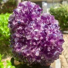 2.71LB Very Rare Natural Amethyst Flower Cluster Specimen Healing picture