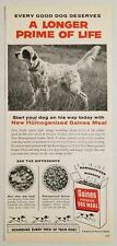 1955 Print Ad Gaines Meal Dog Food Hunting Dog Pointing General Foods picture