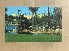 Postcard Tampa FL Florida Flamingos Busch Gardens Anheuser Busch Brewery picture