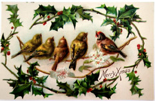 Vintage Postcard Merry Xmas Birds, Holly, Embossed Unposted picture