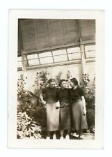 Three Young Ladies in Skirts ~ Small Vintage Photograph c1940s picture