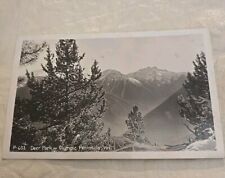 RPPC VINTAGE 1940'S POST CARD ,DEER PARK OLYMPIC PENINSULA, WASHINGTON picture