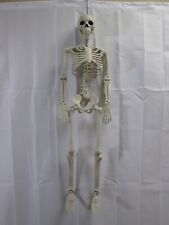 Seasons Crazy Bones 36” Skeleton Halloween Posable deco prop picture