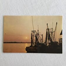 Shrimp Boats at Sunset Gulf Coast TX LA MS Postcard picture