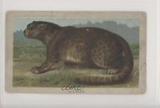 1890 Arbuckle Bros Zoological Ounce #18 z6d picture