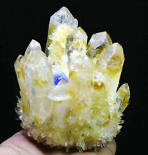New Find Blue/Yellow Phantom Quartz Crystal Cluster Point Mineral Specimen 642g picture