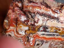 Red Crazy Lace Agate Laguna Lace Banded Agate Mexico 2653g 5lb Rough Botryoidal  picture