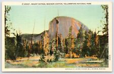 Postcard Mount Haynes, Madison Canyon, Yellowstone National Park Unposted picture