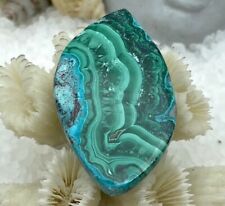 Cabochon Malachite Chrysocolle Natural Stone 64.5 Cts Minerals Collection picture