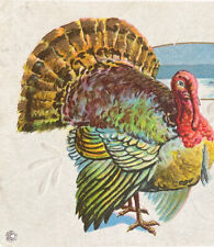 Antique Posted Thanksgiving Turkey 1900s Ephemera Embossed No Stamp Postcard SEE picture