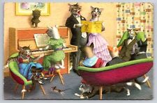 Anthropomorphic Cats Alfred Mainzer Singing Playing Piano 1971 Postcard picture