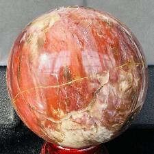 Natural Wood Fossil Decoration Polished Wood Grain Fossil Decor Crystal 4.51LB picture
