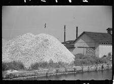 Pile of oyster shells Shellpile New Jersey 1930s Historic Old Photo 1 picture