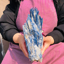 3.52LB Rare Natural Beautiful Blue Kyanite With Quartz Crystal Specimen 597 picture