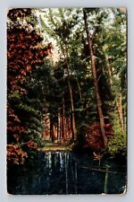 Spokane WA-Washington, A Study in Reflection River, Trees Vintage c1910 Postcard picture
