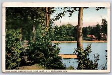 Inlet New York~Trail Along Limekiln Lake Adirondack Mts~Vintage Postcard picture