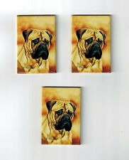 New Bullmastiff Pet Dog Magnet Set 3 Magnets By Ruth Maystead MFR # BLM-5 picture