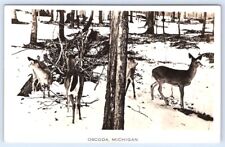 RPPC Oscoda Michigan Deer Winter Snow Postcard picture