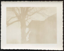 FOUND PHOTO Creepy Silhouette of House and Tree Odd Unusual Strange Snapshot VTG picture