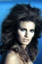 Raquel Welch looks to side circa 1967 glamour pose picture