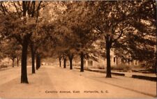 Vintage Carolina Avenue East Hartsville SC South Carolina Postcard picture