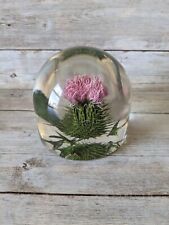  Vintage W. Rolfe Botanical Paperweight Clear Reain Thistle Plant  picture