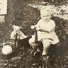 Antique Snapshot Photograph Adorable Little Boy Wagon Jointed Steiff Teddy Bear picture