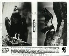 Press Photo California Condors in scenes from 