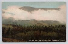 Mt. Toxaway In The Beautiful Sapphire Country c1910 Antique Postcard picture
