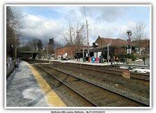 Wellesley Hills station Wellesley Railway Postcard picture