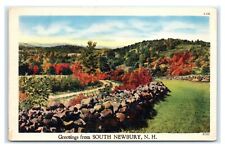 Postcard Greetings from South Newbury NH linen L15 picture
