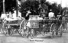 Street View Horse Wagons Peaches Milford Delaware DE Reprint Postcard picture