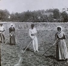 Farm Workers? in Lourdes, France, Magic Lantern Glass Slide picture