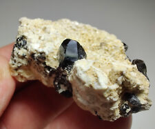 Smoky Quartz crystals in Microcline. Lolo Pass, Montana. 43 grams. picture