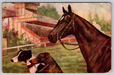 c1910s Kings of the Turf Dogs and Horse Race Track Antique Postcard picture