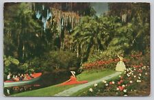 Postcard Blossoms on  the boat tour Cypress Gardens FL picture