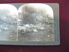 Stereoview Keystone View Co. Enemy Airmen Bombed One Of Supply Trains WWI (O) picture