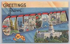 Fresno California, Large Letter Greetings, Poppies, Vintage Postcard picture