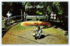 c1950's Spyke's Grove Alligator Wrestling Ft. Lauderdale Florida FL Postcard picture