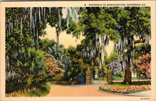 Savannah, Georgia Entrance to Bonaventure Cemetery Spanish Moss Unposted P414 picture