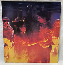 LARGE Float-Mounted STAR WARS Picture - Leia & Han - 22 x 18, matte, hardboard picture