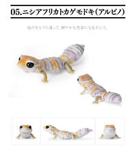 The Diversity of Life on Earth African Fat-Tailed Gecko Bandai Gashapon Albino picture