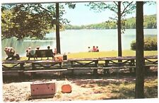 Postcard Greetings from Saugerties New York State Park Lake Picnics Baskets picture