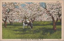 Postcard Greetings from Woodridge NY  picture